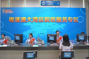 辦稅提速,營商環(huán)境優(yōu)化 稅務部門政策和服務推動企業(yè)蝶變