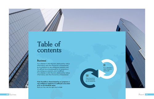 現(xiàn)代國際商務(wù)貿(mào)易企業(yè)宣傳產(chǎn)品業(yè)務(wù)科技會展畫冊設(shè)計