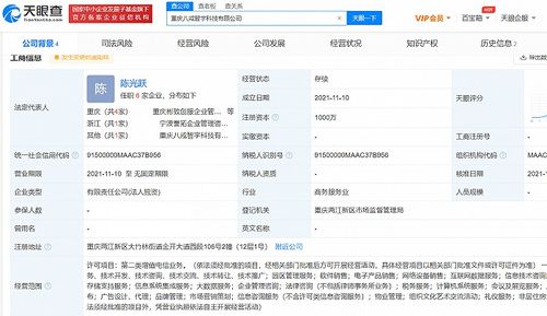 豬八戒網成立新公司，注資千萬加碼互聯網數據服務